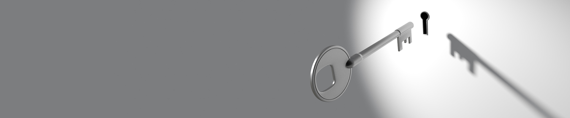 page banner