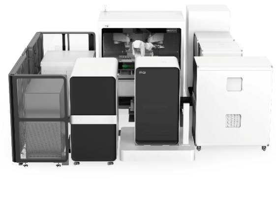 DNBSEQ-T20
