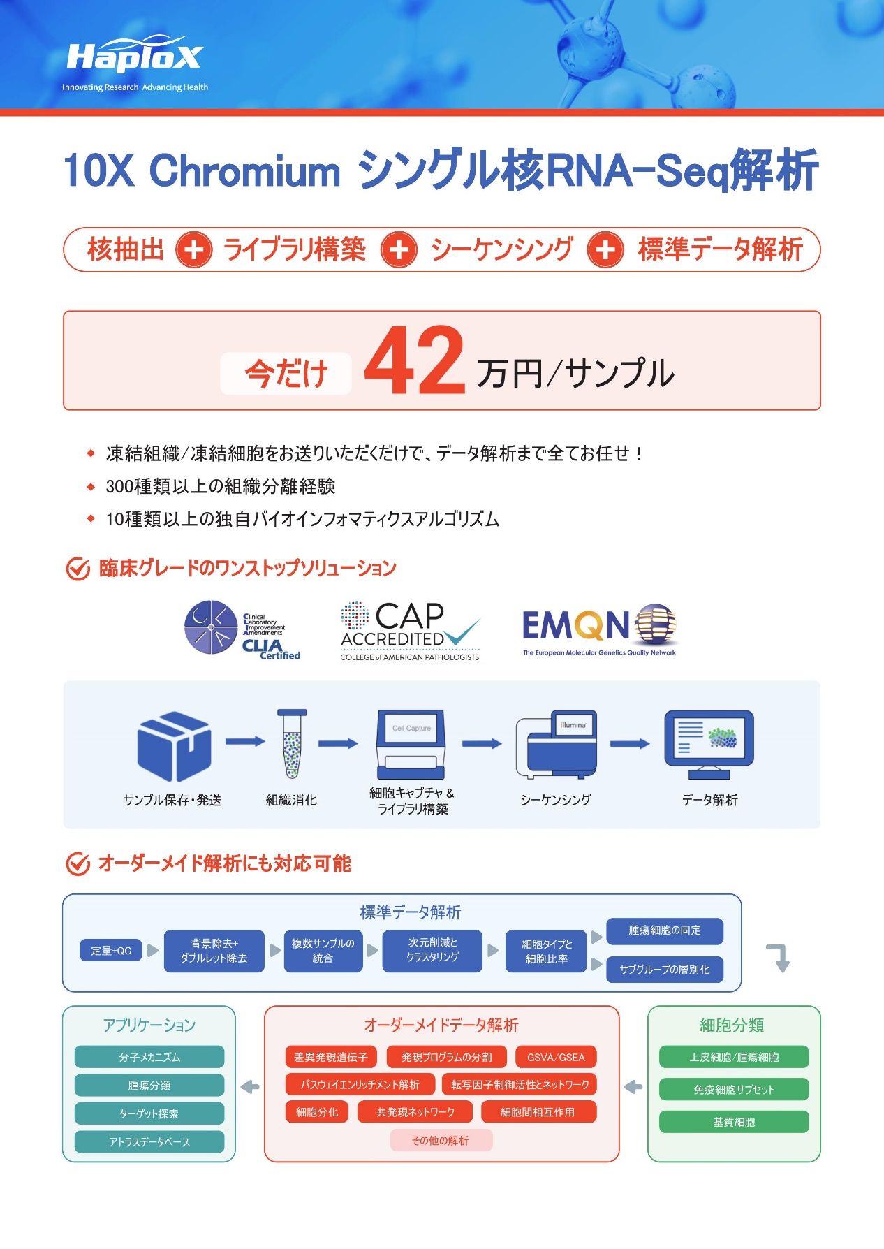 10X Chromium シングル核RNA-Seq解析