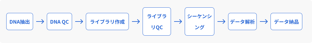 ワークフロー