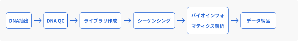 ワークフロー